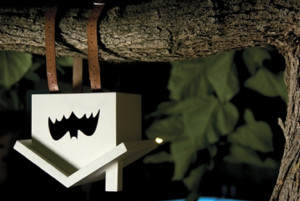 bat-house-design-idea